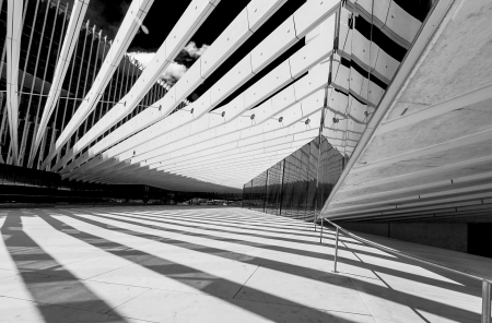 A WORLD IN BLACK AND WHITE 