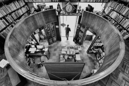 Ode ao livro e a cada um dos seus silêncios 