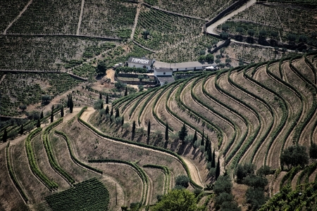 No Douro - Pinhão 