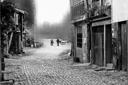 LIVING  WITHOUT STRESS 