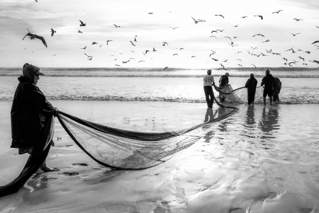 FENCING_FISHING by José Flacho - FINEART-PORTUGAL