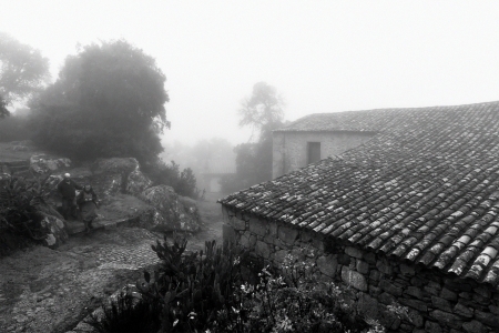 BY TORTUOSOUS PATHS 