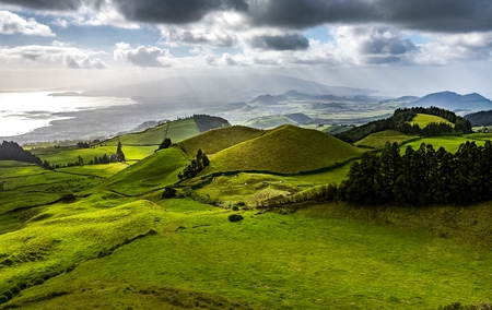 GREEN FIELDS OF AZORES 