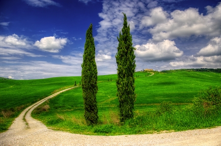 Emerald Green 