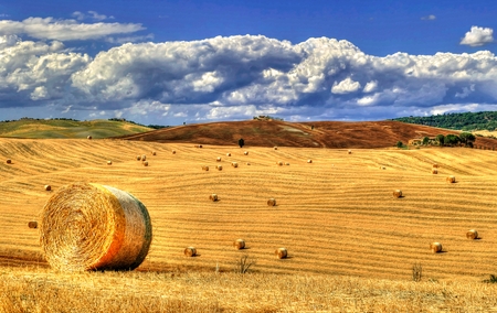 Pastoral 