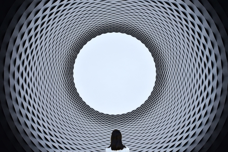 Black holes and revelations 