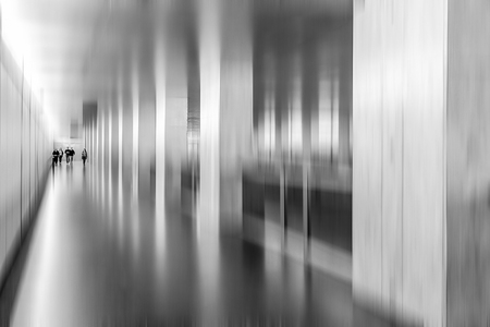 CONCRETE FOREST 