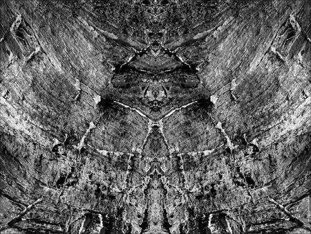 metamorphosis 