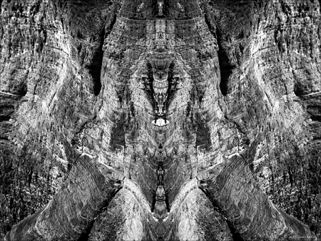 metamorphosis 