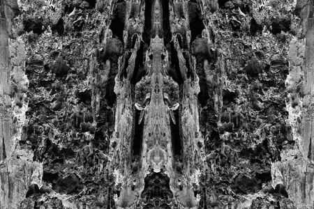 metamorphosis 