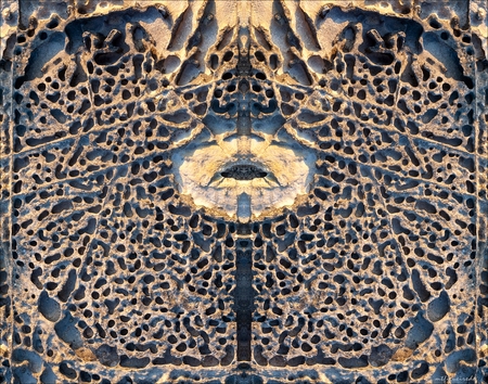 metamorphosis 