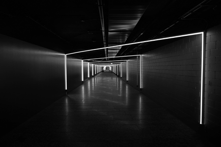 The dark room 