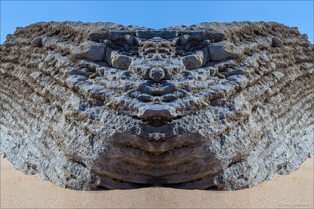 metamorphosis 