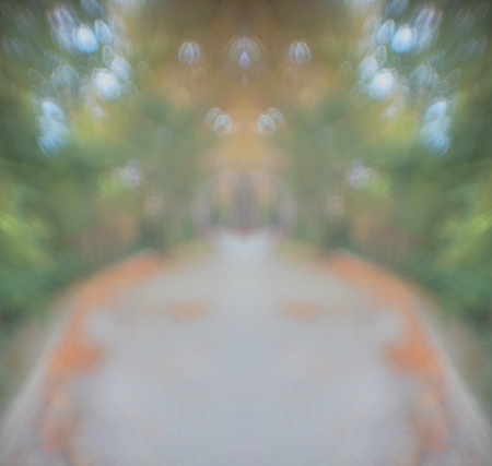 _17A1905c