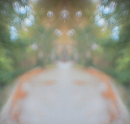 _17A1905b