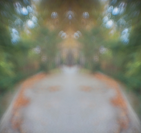 _17A1905_a