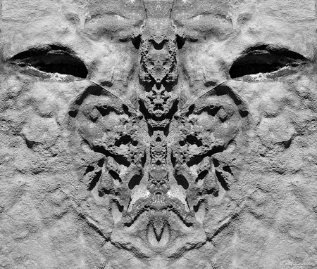 Metamorphosis