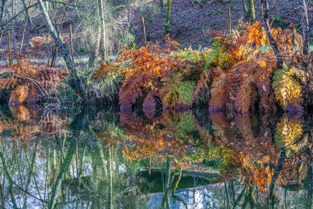 ROUPAGEM DE OUTONO NO RIO CABRIL 