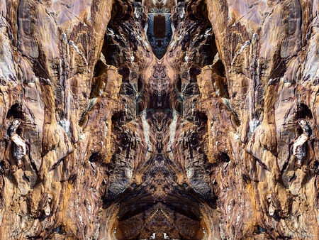 Metamorphosis 