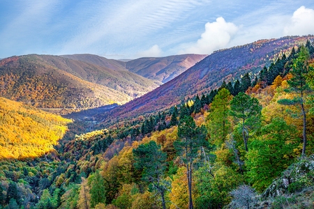 OUTONO NA SERRA 
