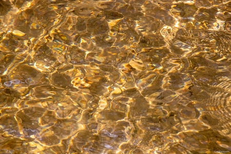 water